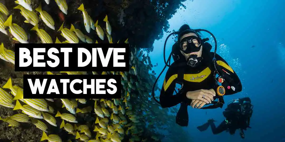 10 best dive watches under 500$