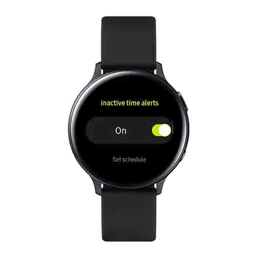 Enable Inactive Time Alerts on Galaxy Watch Active 2