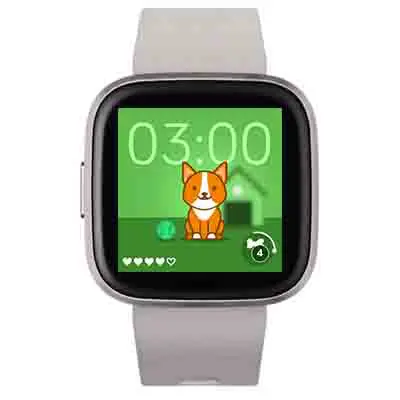 My dog timmy watch face fitbit