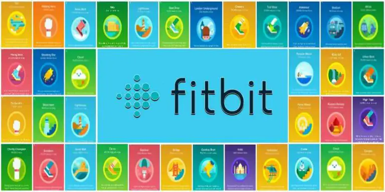 Fitbit Badges List